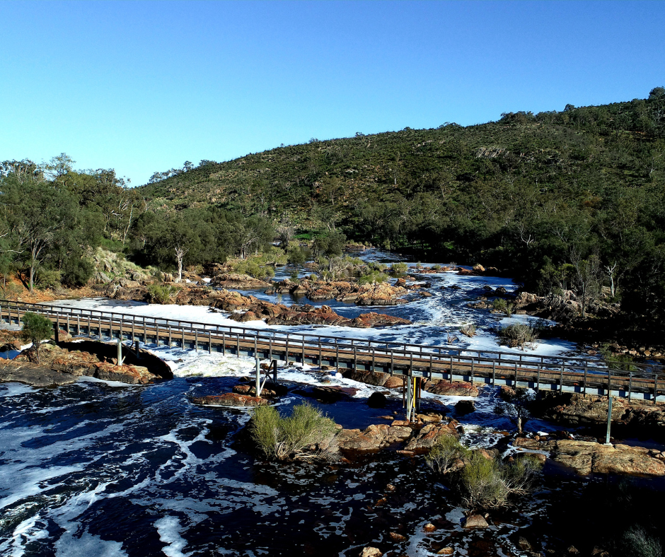 Bells Rapids Free Adventure fun