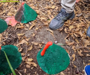 baking soda volcano experiment for kids